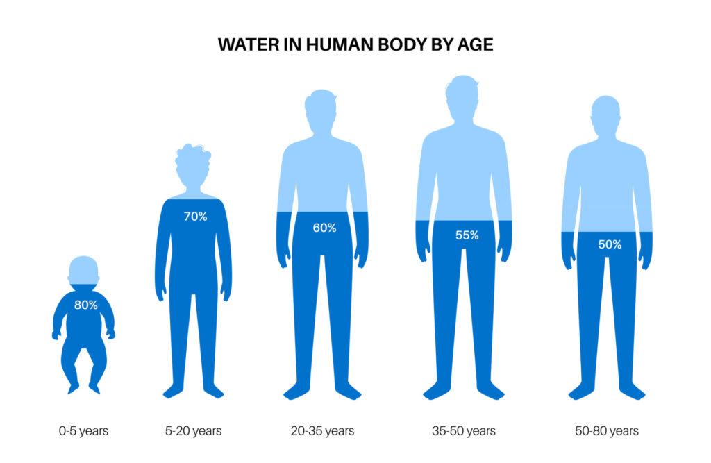 年齢によって異なる体の水分量